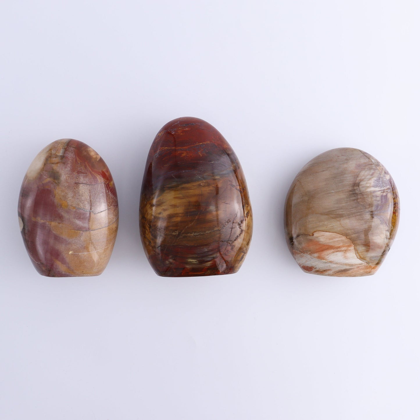 Petrified Wood Freeforms Set of 3 - Expert Wholesale and Supplier of Wholesale Crystals & Bulk Gemstones, ["Freeform","Freeforms","Madagascar","Petrified Wood"]