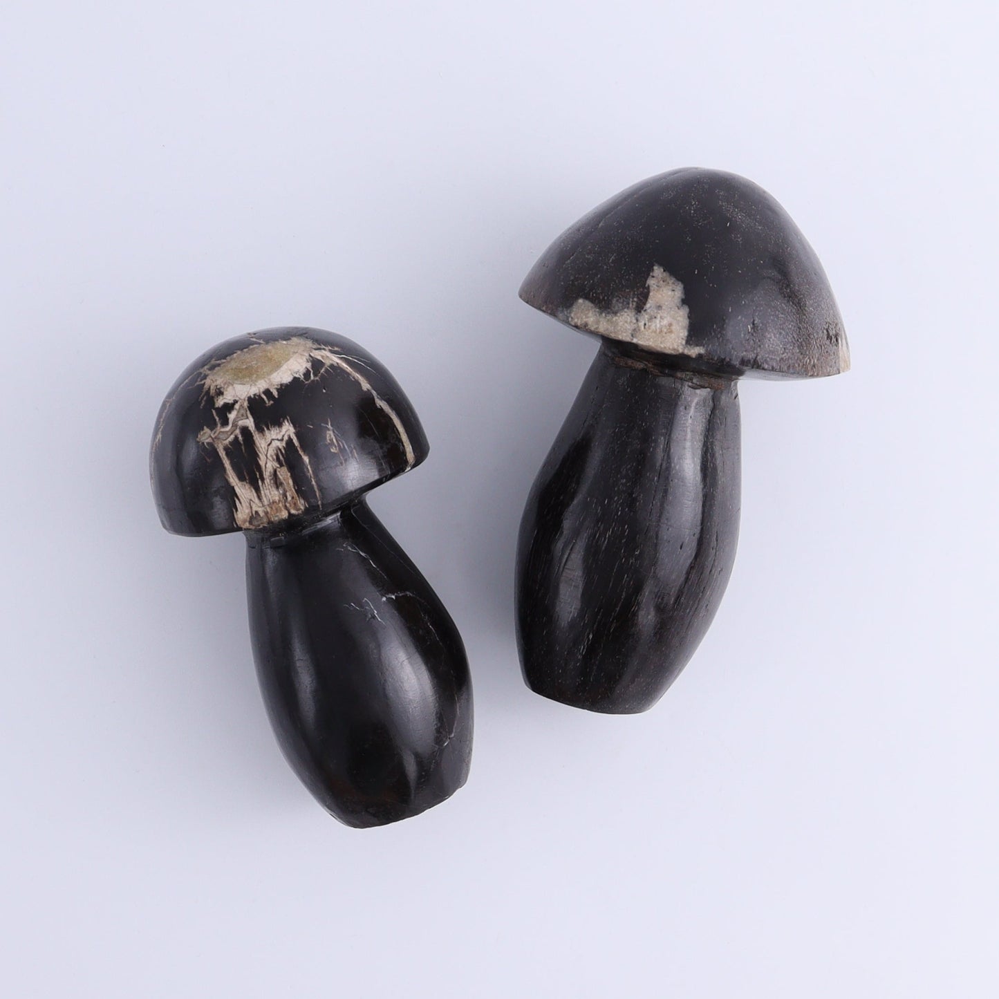 Petrified Wood Mushrooms Set of 4 - Expert Wholesale and Supplier of Wholesale Crystals & Bulk Gemstones, ["Indonesia","Mushrooms","Petrified Wood"]
