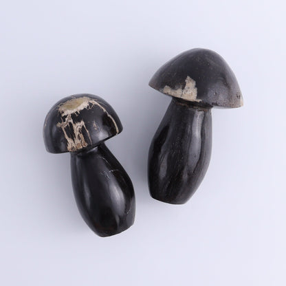 Petrified Wood Mushrooms Set of 4 - Expert Wholesale and Supplier of Wholesale Crystals & Bulk Gemstones, ["Indonesia","Mushrooms","Petrified Wood"]
