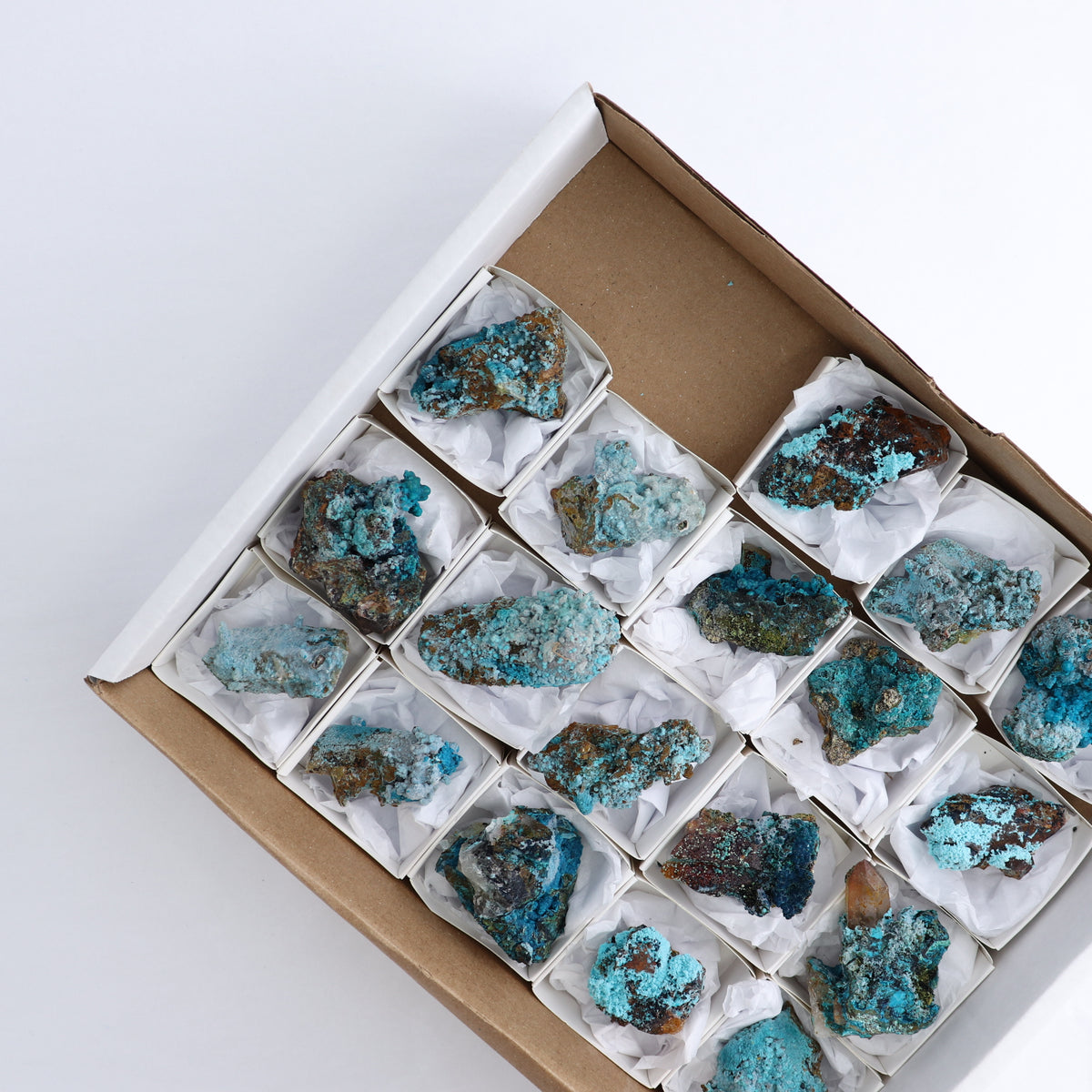 Chrysocolla on Quartz Roughs Set of 18 - wholesale crystals