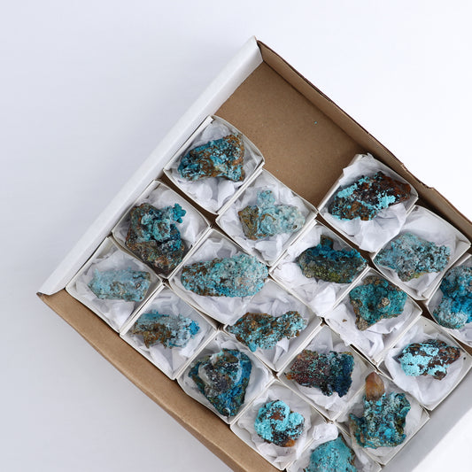 Chrysocolla on Quartz Roughs Set of 18