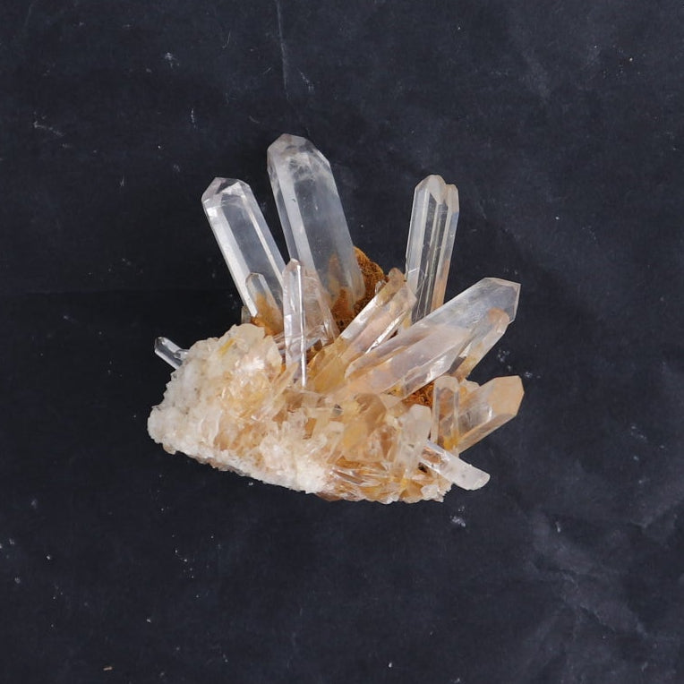 Lemurian Clusters from Columbia Set of 6