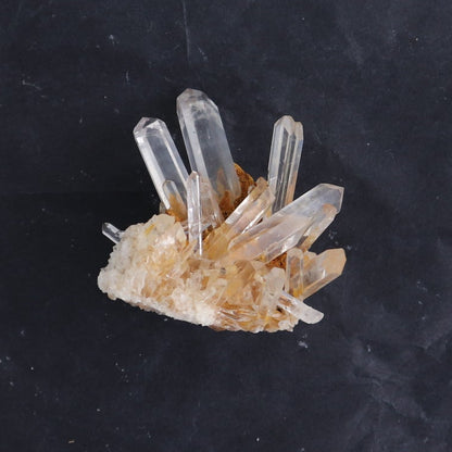 Lemurian Clusters from Columbia Set of 6