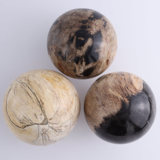 Petrified Wood Spheres Set of 3 - Expert Wholesale and Supplier of Wholesale Crystals & Bulk Gemstones, ["Indonesia","Petrified Wood","Spheres"]