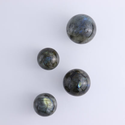 Labradorite Spheres Flat of 24 - Expert Wholesale and Supplier of Wholesale Crystals & Bulk Gemstones, ["Labradorite","Madagascar","Spheres"]