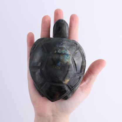 Labradorite Turtles Set of 5