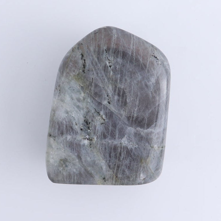 Labradorite Freeform Set of 5