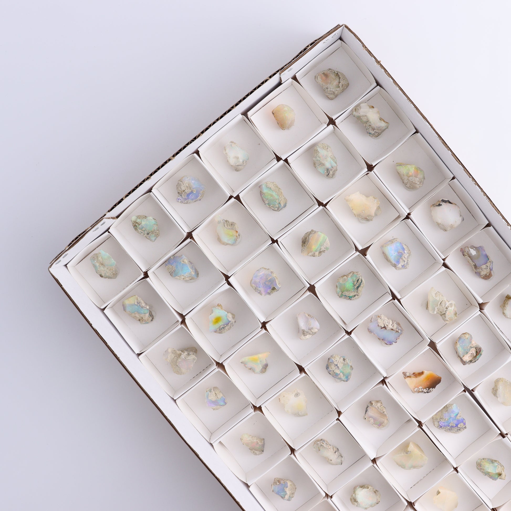 Ethiopian Opal Set of 54 - Expert Wholesale and Supplier of Wholesale Crystals & Bulk Gemstones, ["Ethiopia","ethiopian opal","Opal"]