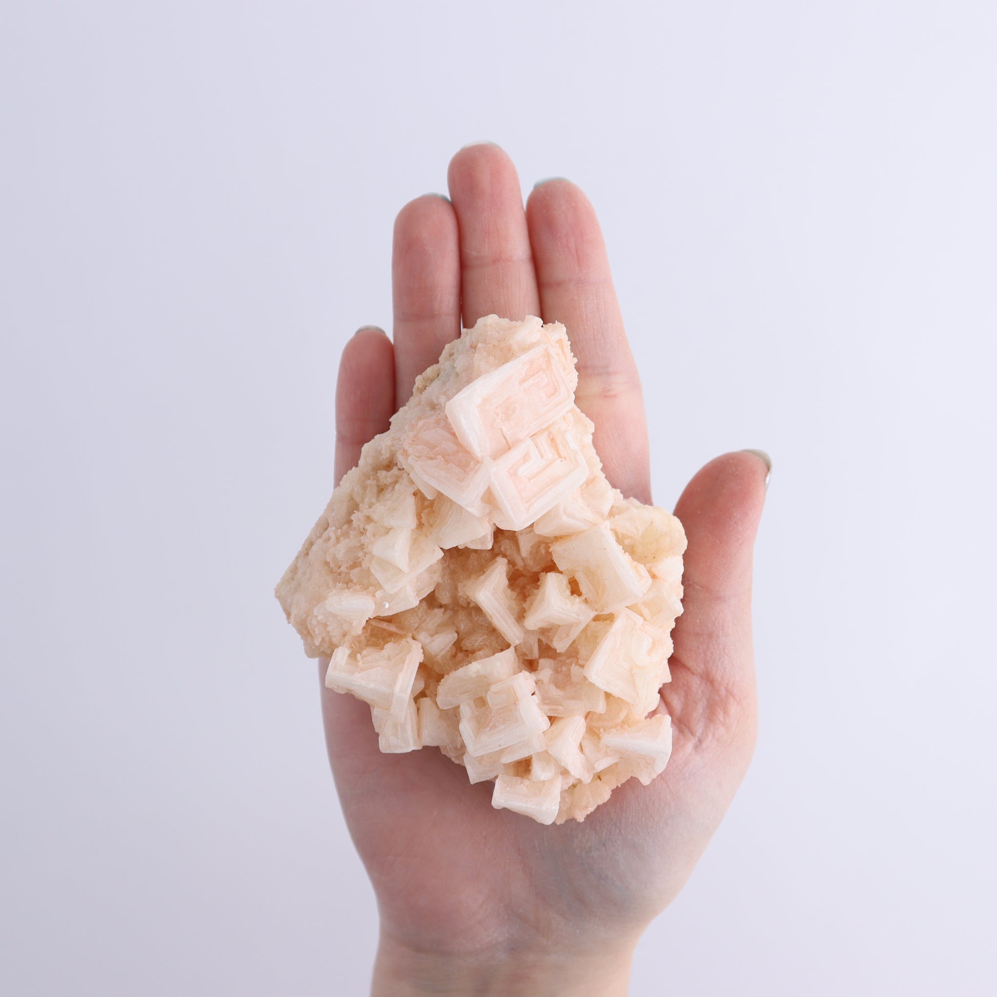 Halite on Trona from Owens Lake Set of 6 - Expert Wholesale and Supplier of Wholesale Crystals & Bulk Gemstones, ["California","Flats","Halite","halite on trona","Pink Halite","United States"]