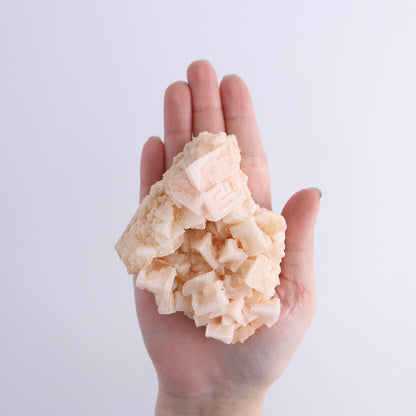 Halite on Trona from Owens Lake Set of 6 - Expert Wholesale and Supplier of Wholesale Crystals & Bulk Gemstones, ["California","Flats","Halite","halite on trona","Pink Halite","United States"]