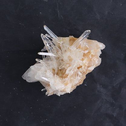 Lemurian Clusters from Columbia Set of 6