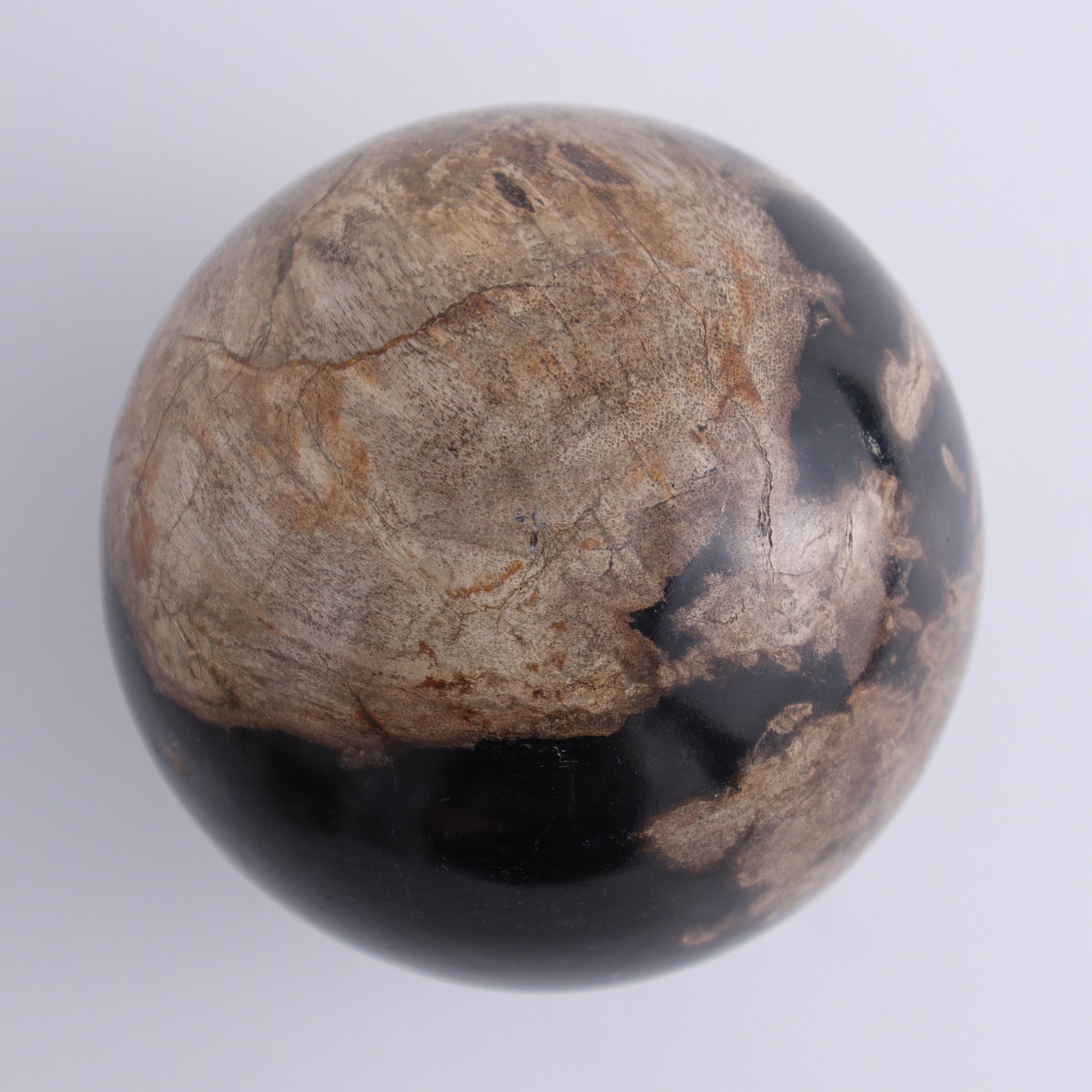 Petrified Wood Spheres Set of 3 - Expert Wholesale and Supplier of Wholesale Crystals & Bulk Gemstones, ["Indonesia","Petrified Wood","Spheres"]