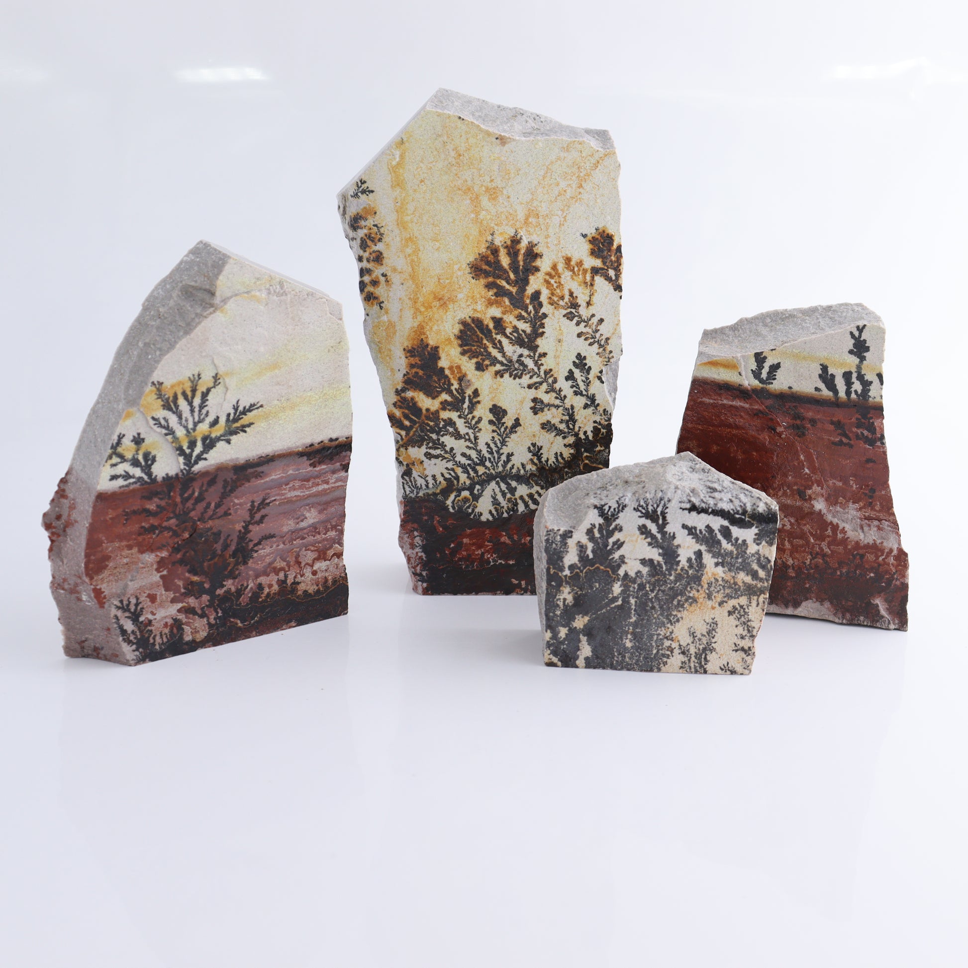 Dendrites Flat Set of 4 - Expert Wholesale and Supplier of Wholesale Crystals & Bulk Gemstones, ["Dendrite","Flats"]