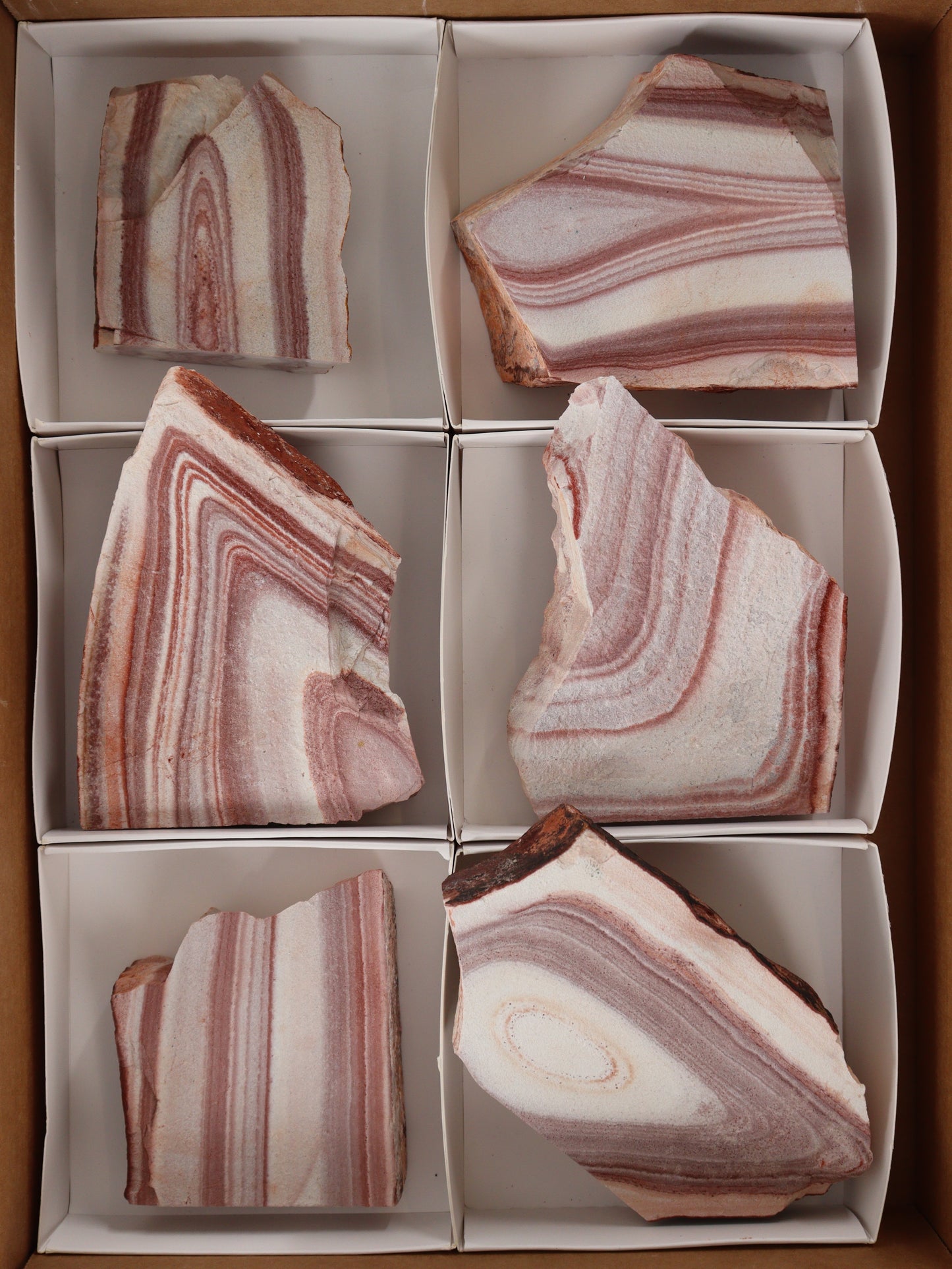 Rhyolite Slices and Slabs Set of 6 - Expert Supplier of Wholesale Crystals & Bulk Gemstones