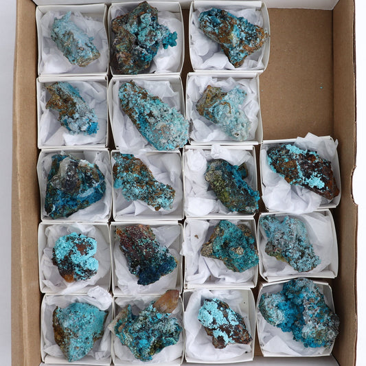 Chrysocolla on Quartz Roughs Set of 18