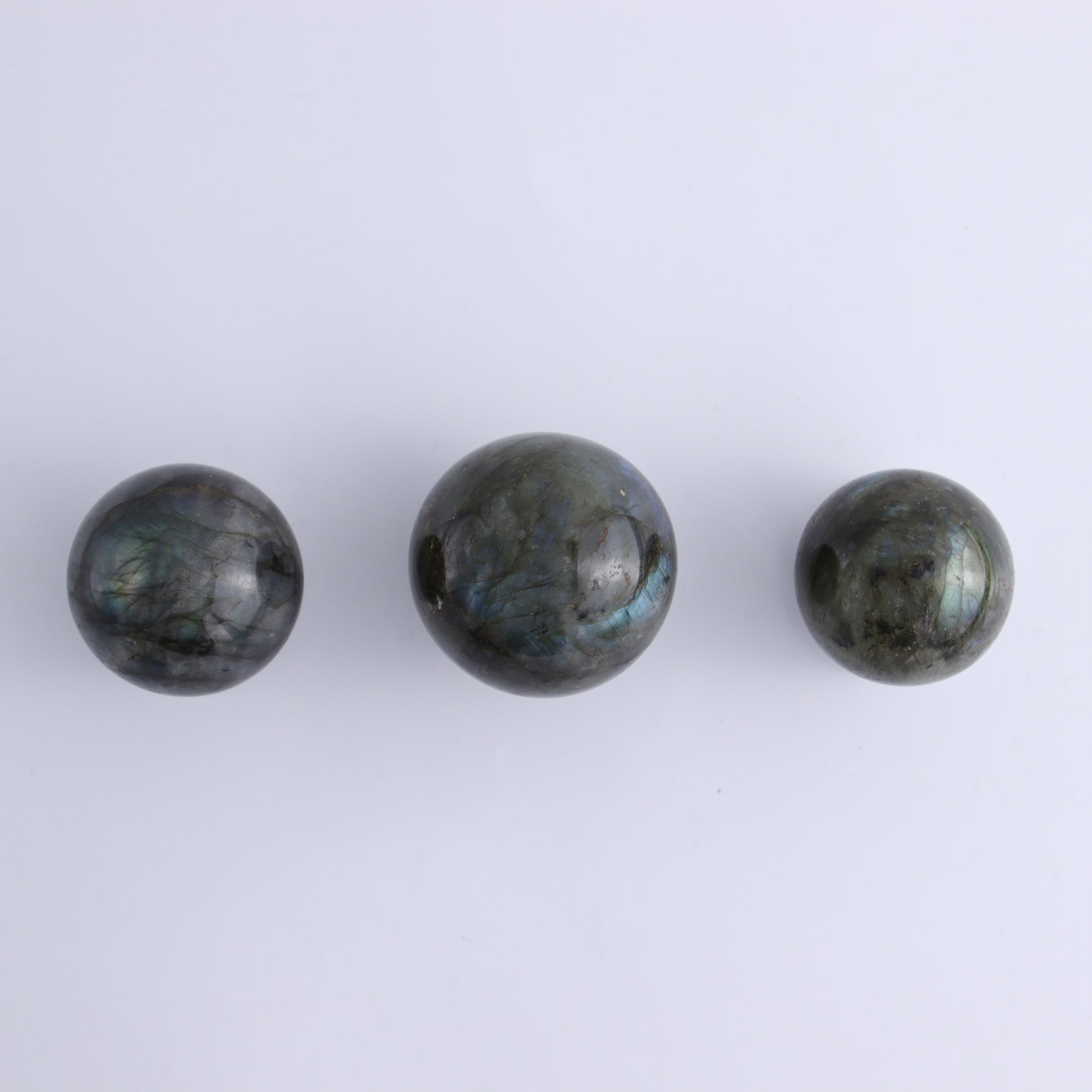 Labradorite Spheres Flat of 24 - Expert Wholesale and Supplier of Wholesale Crystals & Bulk Gemstones, ["Labradorite","Madagascar","Spheres"]