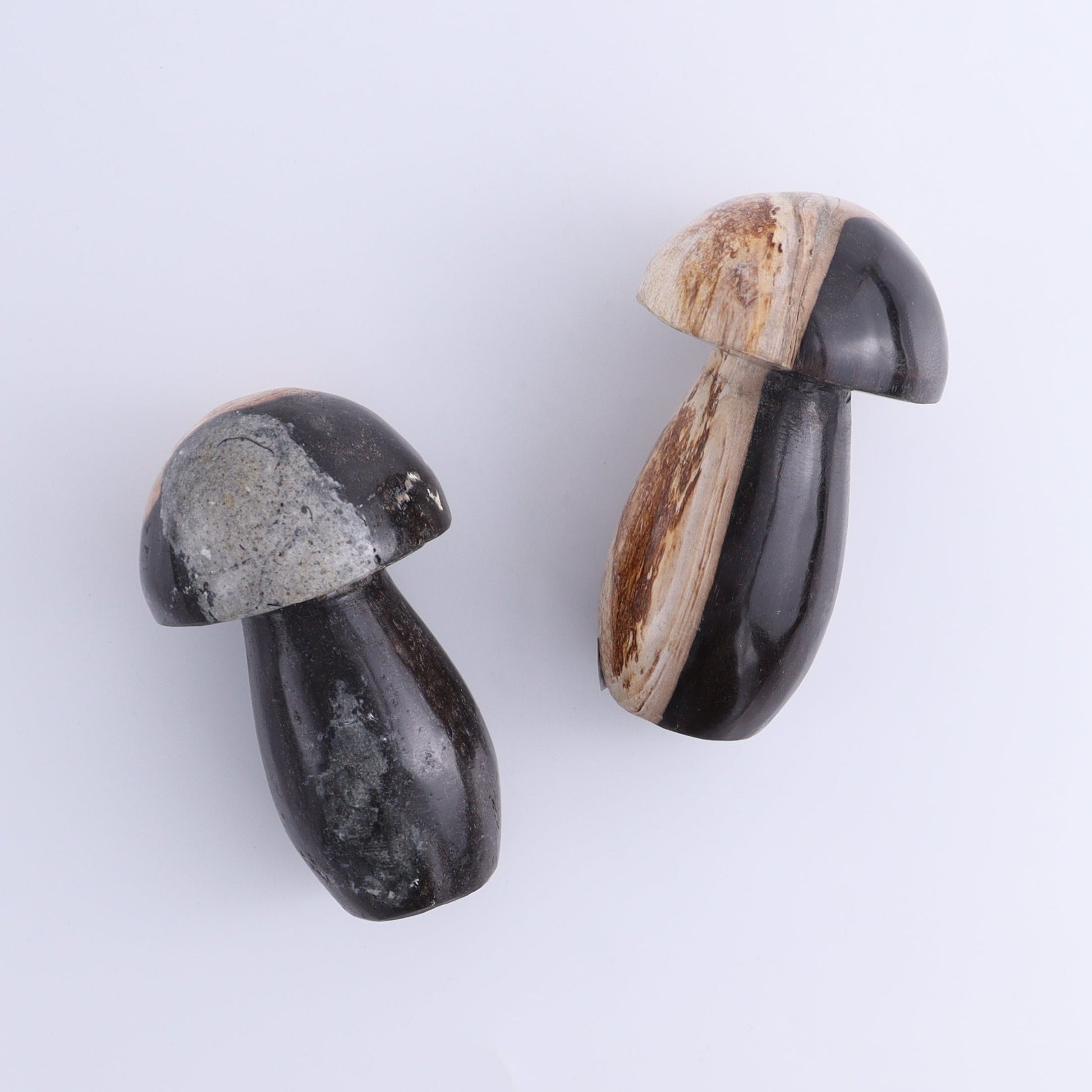 Petrified Wood Mushrooms Set of 4 - Expert Wholesale and Supplier of Wholesale Crystals & Bulk Gemstones, ["Indonesia","Mushrooms","Petrified Wood"]