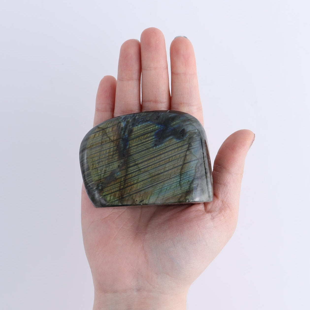 Labradorite Freeform Set of 5