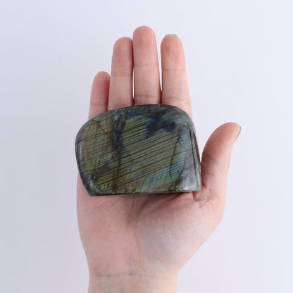 Labradorite Freeform Set of 5