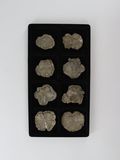 Pyrite Slices and Slabs Set of 8 - Expert Wholesale and Supplier of Wholesale Crystals & Bulk Gemstones, []