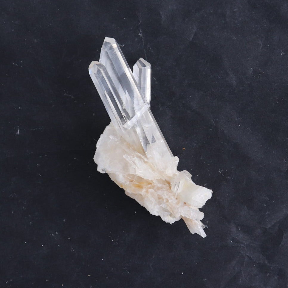 Lemurian Clusters from Columbia Set of 6