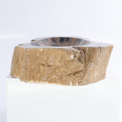 Petrified Wood Bowls Set of 2 - Expert Wholesale and Supplier of Wholesale Crystals & Bulk Gemstones, ["Bowls","Indonesia","Petrified Wood"]