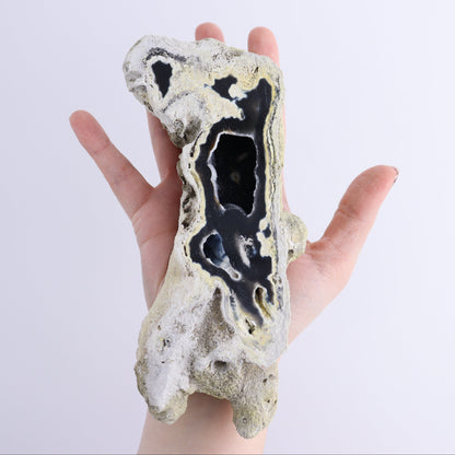 Agatized Coral Flat - Expert Wholesale and Supplier of Wholesale Crystals & Bulk Gemstones, ["Agate","Agatized Coral","Coral","United States"]