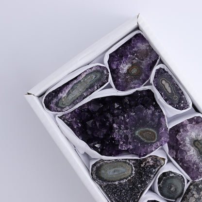 Uruguay Amethyst Clusters with "Eyes" Flat of 9 - Expert Wholesale and Supplier of Wholesale Crystals & Bulk Gemstones, ["Amethyst","Clusters","Eyes Amethyst","Uruguay"]