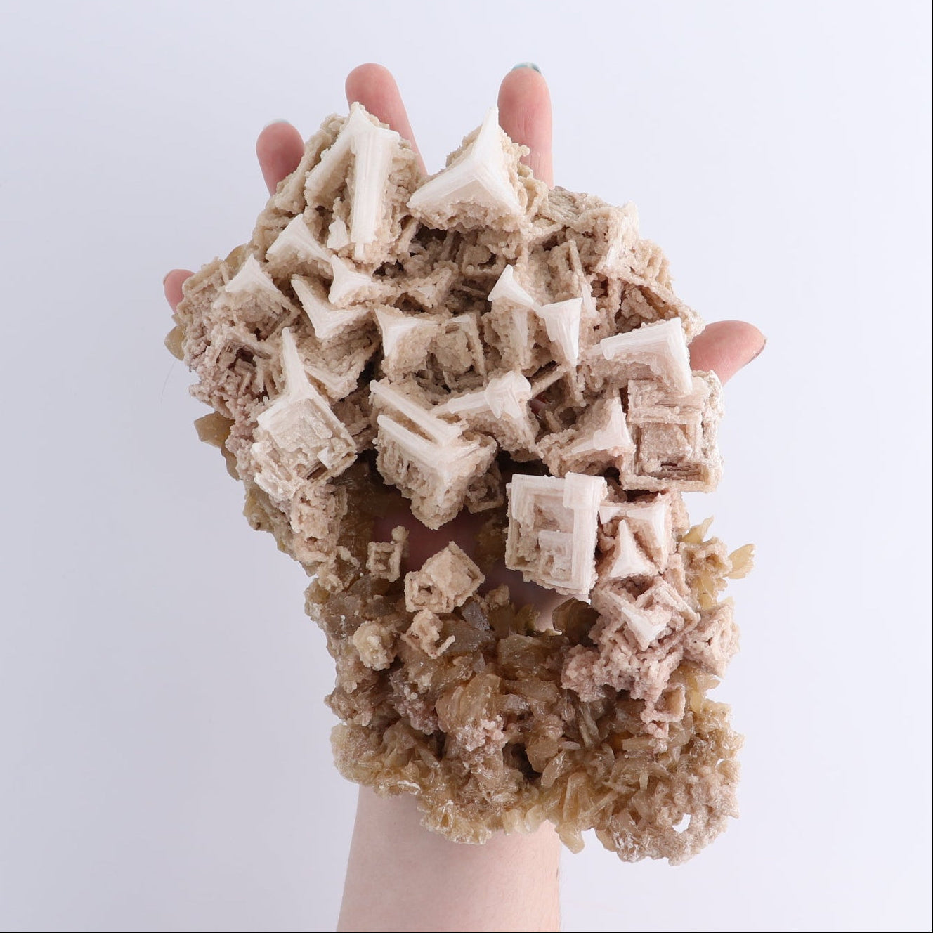 Halite on Trona from Owens Lake Set of 2 - Expert Wholesale and Supplier of Wholesale Crystals & Bulk Gemstones, ["California","close_70","Flats","Halite","halite on trona","United States"]