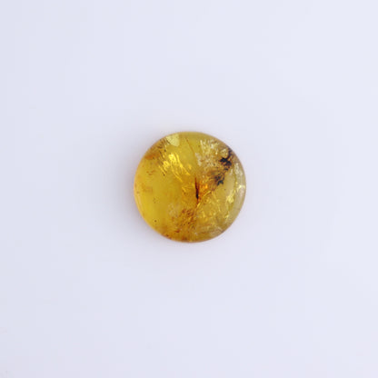 Chiapas Mexico Amber Cabs Set of 5 - Expert Wholesale and Supplier of Wholesale Crystals & Bulk Gemstones, ["Amber","Cabs","Chiapas Amber","Mexico"]