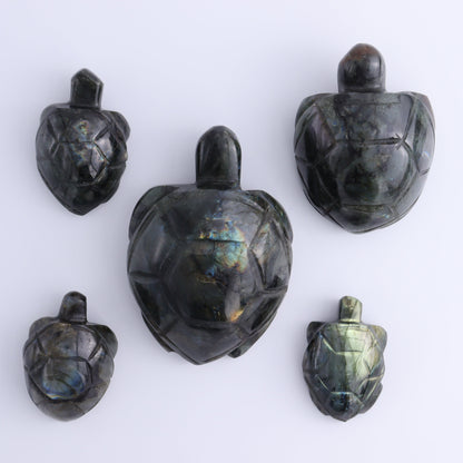 Labradorite Turtles Set of 5