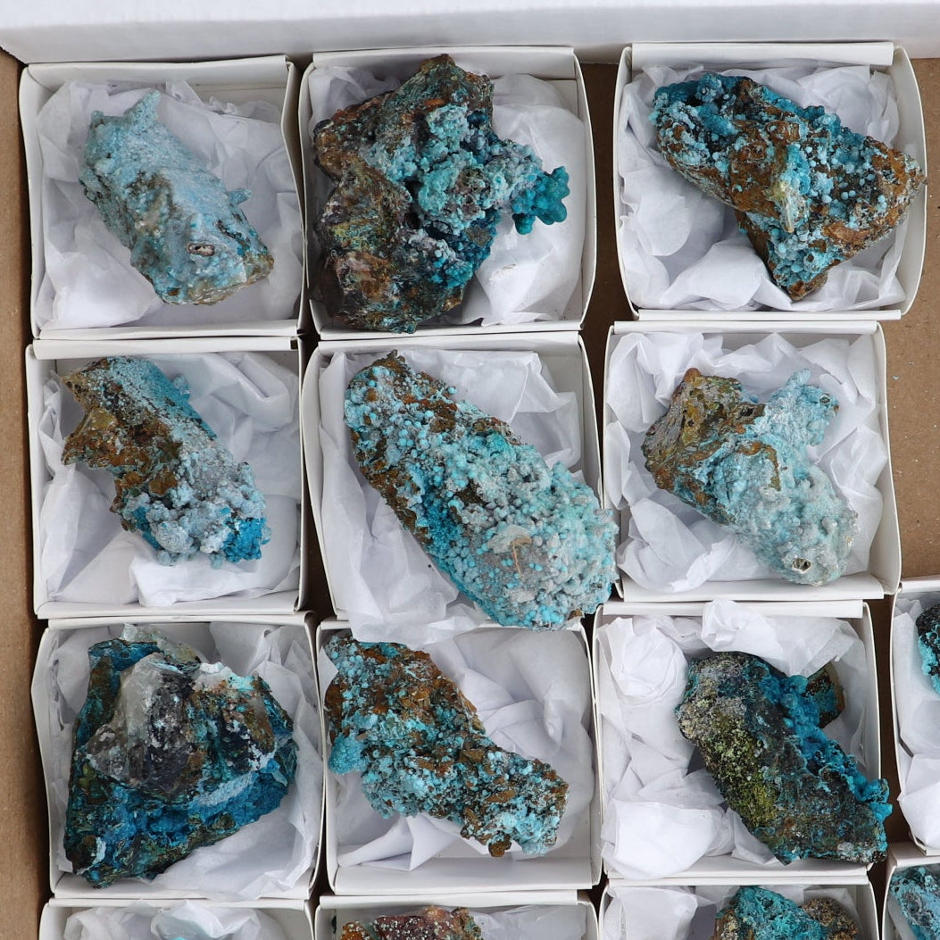 Chrysocolla on Quartz Roughs Set of 18