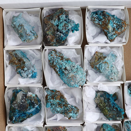 Chrysocolla on Quartz Roughs Set of 18