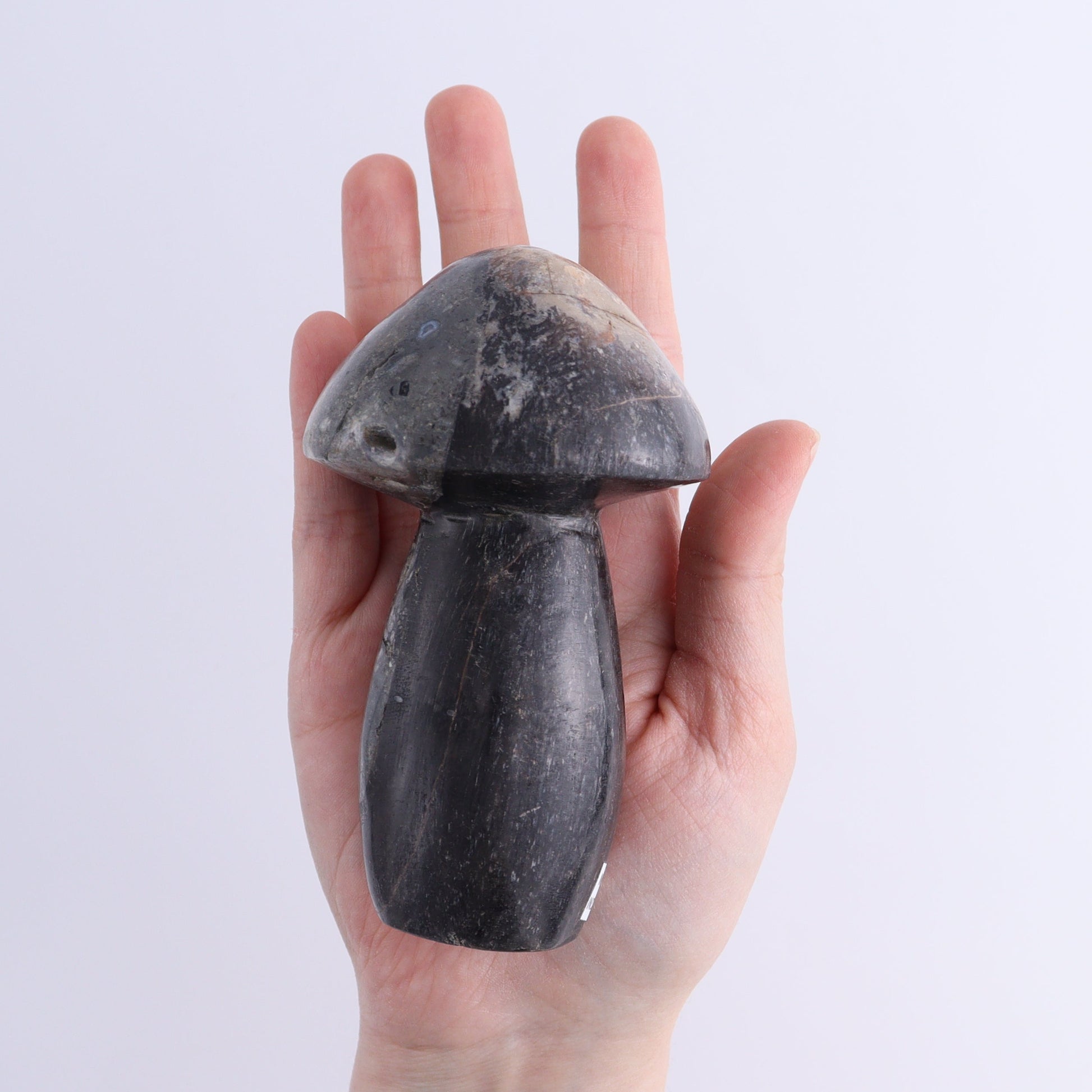 Petrified Wood Mushrooms Set of 4 - Expert Wholesale and Supplier of Wholesale Crystals & Bulk Gemstones, ["Indonesia","Mushrooms","Petrified Wood"]