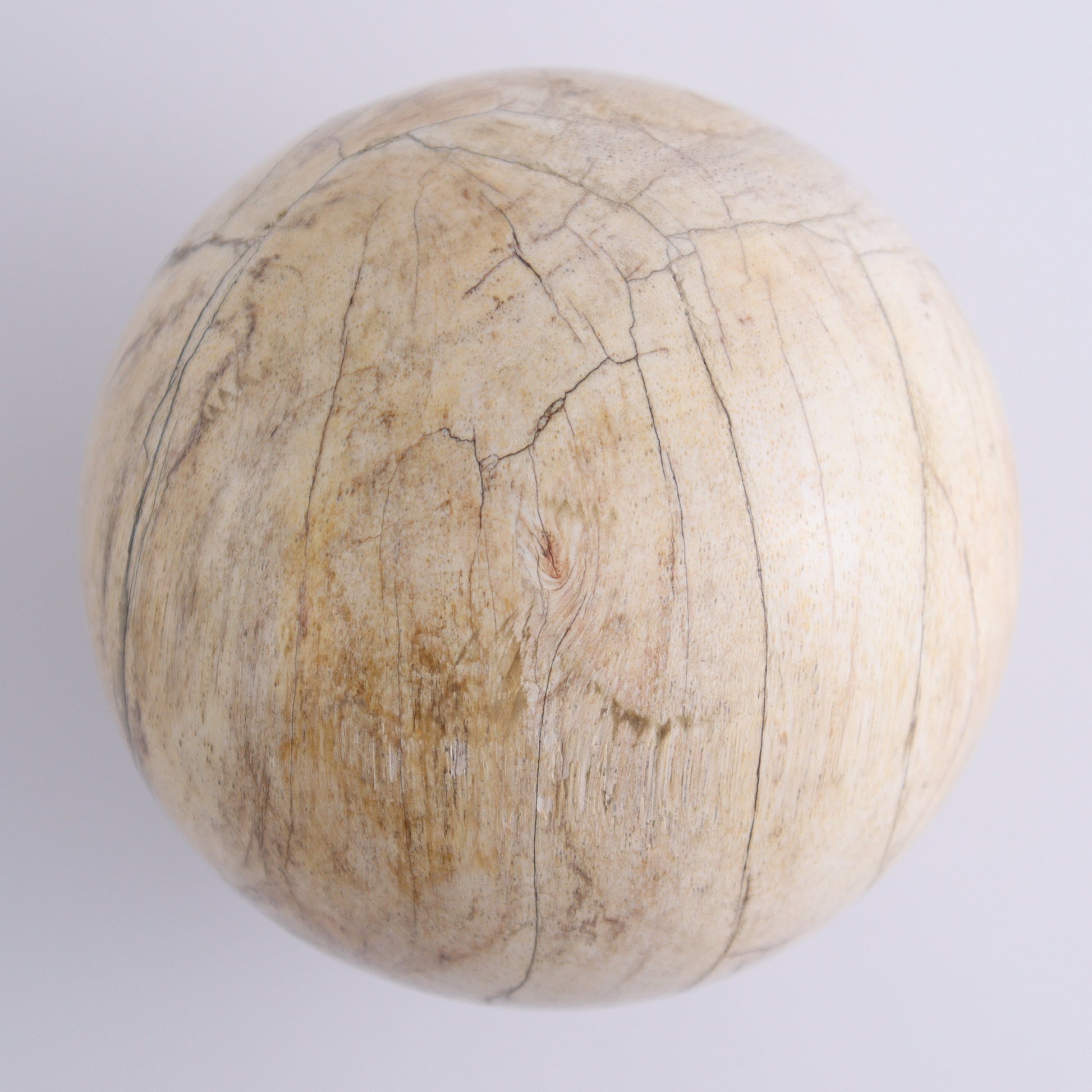 Petrified Wood Spheres Set of 3 - Expert Wholesale and Supplier of Wholesale Crystals & Bulk Gemstones, ["Indonesia","Petrified Wood","Spheres"]