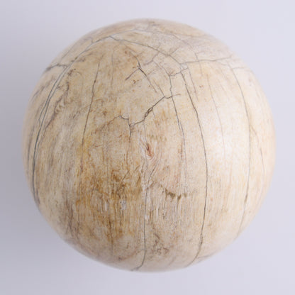 Petrified Wood Spheres Set of 3 - Expert Wholesale and Supplier of Wholesale Crystals & Bulk Gemstones, ["Indonesia","Petrified Wood","Spheres"]