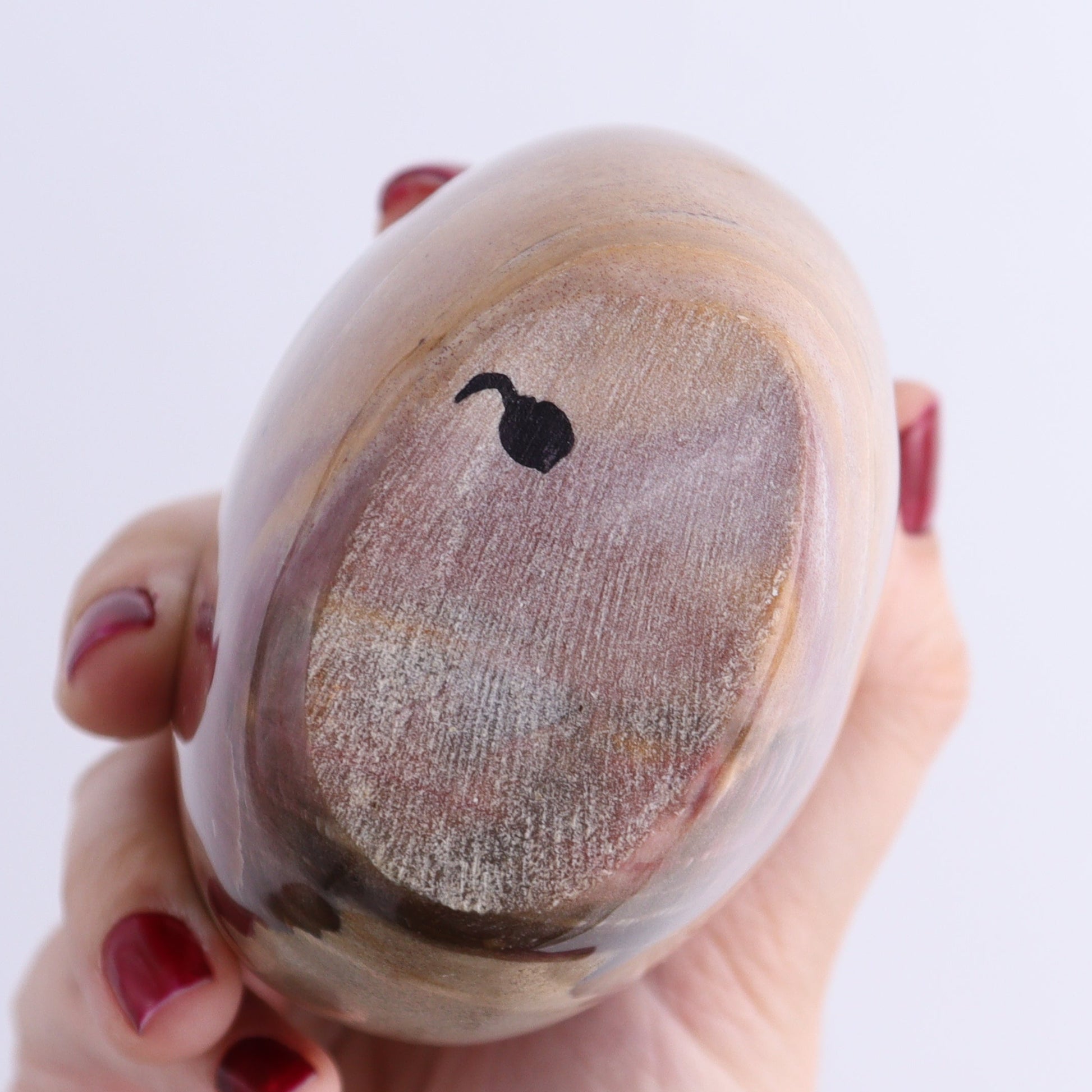 Petrified Wood Freeforms Set of 3 - Expert Wholesale and Supplier of Wholesale Crystals & Bulk Gemstones, ["Freeform","Freeforms","Madagascar","Petrified Wood"]