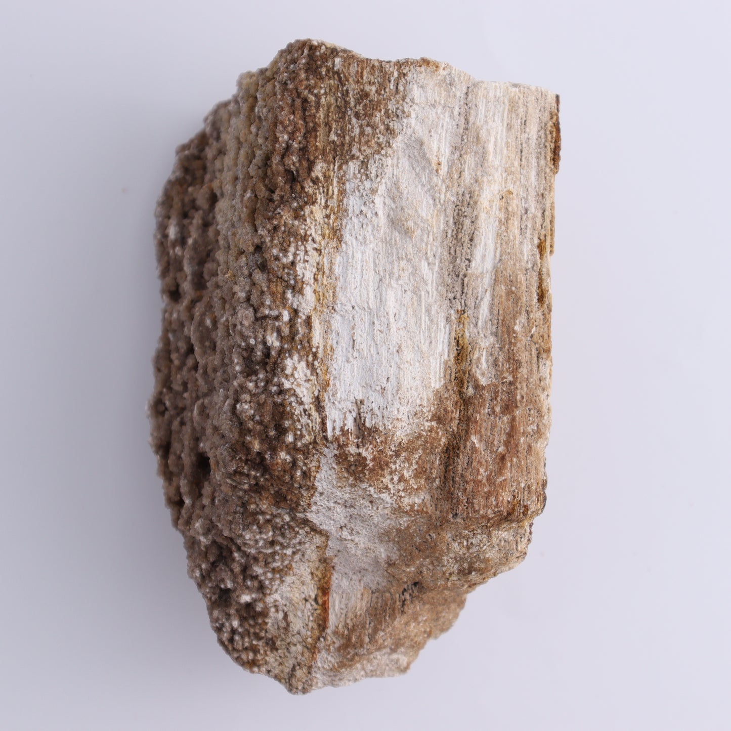 Petrified Wood Rough Set of 3 - Expert Wholesale and Supplier of Wholesale Crystals & Bulk Gemstones, ["Freeforms","Petrified Wood","Rough"]
