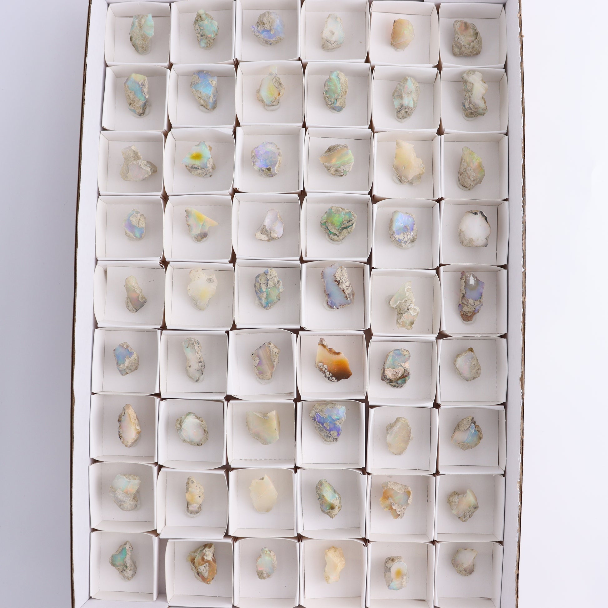 Ethiopian Opal Set of 54 - Expert Wholesale and Supplier of Wholesale Crystals & Bulk Gemstones, ["Ethiopia","ethiopian opal","Opal"]