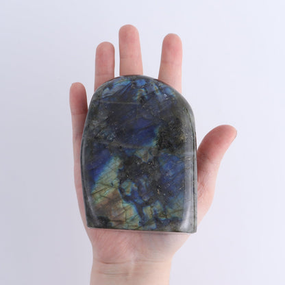 Labradorite Freeform Set of 5
