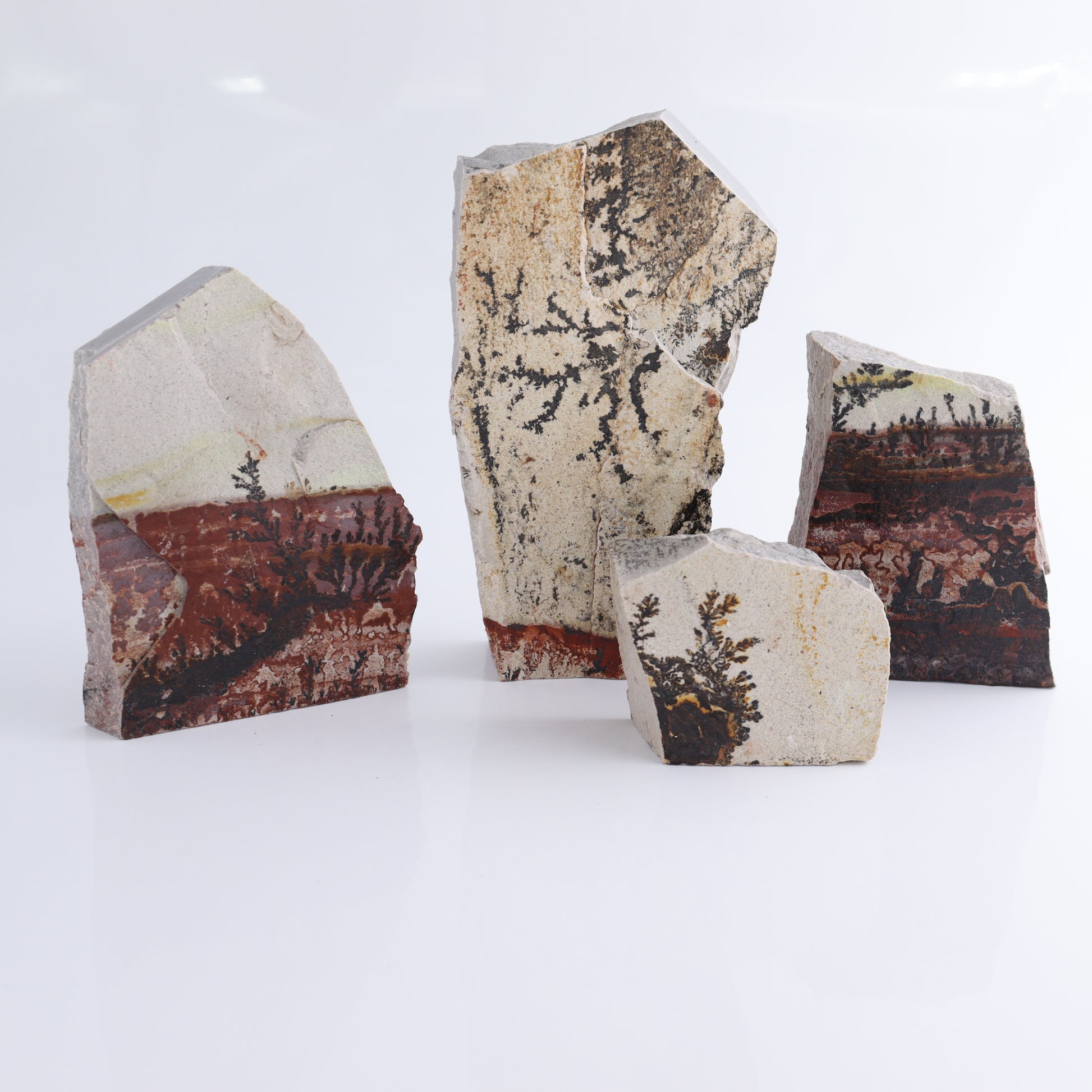 Dendrites Flat Set of 4 - Expert Wholesale and Supplier of Wholesale Crystals & Bulk Gemstones, ["Dendrite","Flats"]