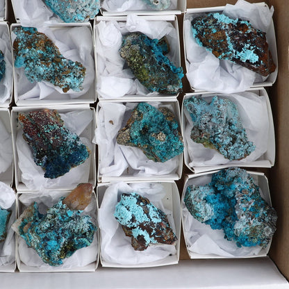 Chrysocolla on Quartz Roughs Set of 18