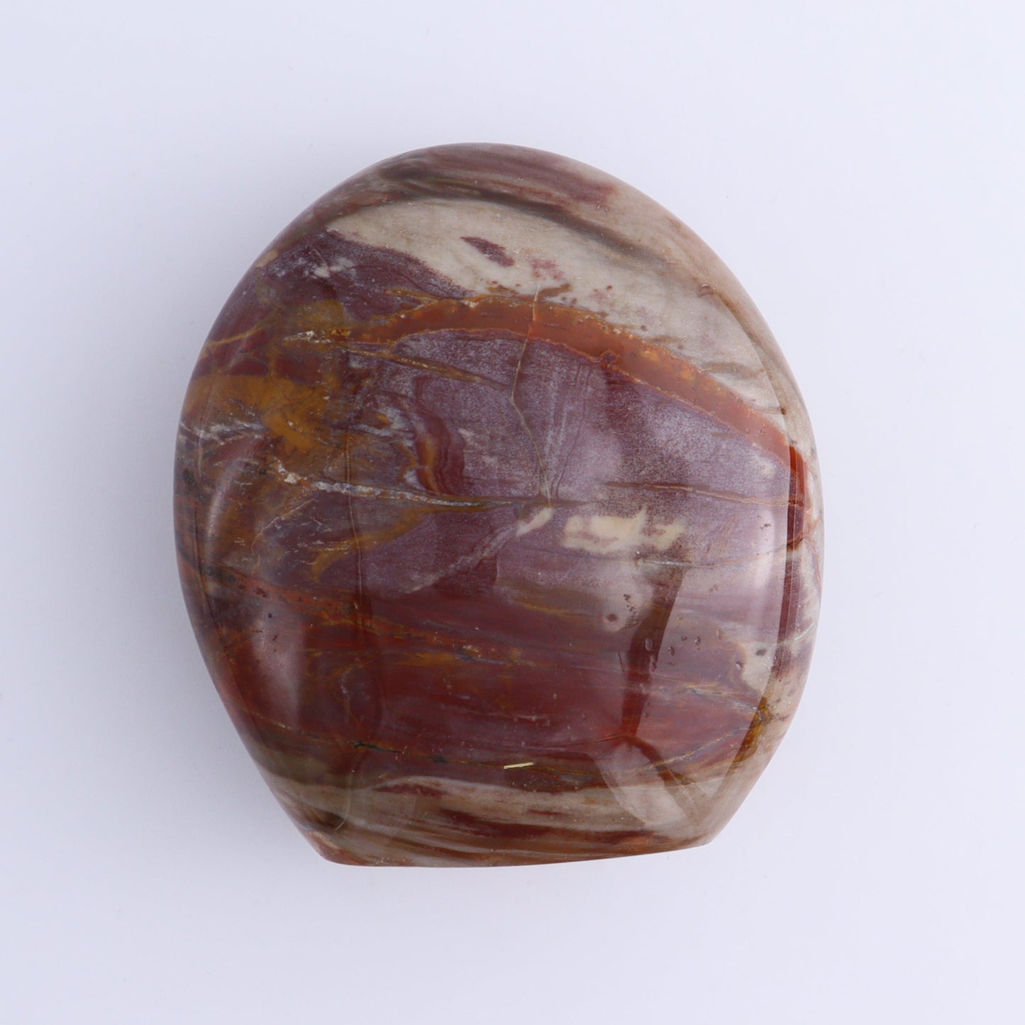 Petrified Wood Freeforms Set of 3 - Expert Wholesale and Supplier of Wholesale Crystals & Bulk Gemstones, ["Freeform","Freeforms","Madagascar","Petrified Wood"]