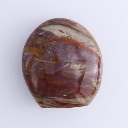 Petrified Wood Freeforms Set of 3 - Expert Wholesale and Supplier of Wholesale Crystals & Bulk Gemstones, ["Freeform","Freeforms","Madagascar","Petrified Wood"]