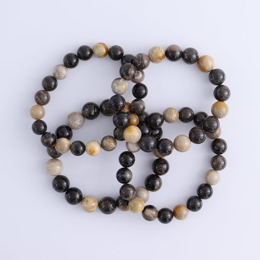 Petrified Wood Bracelet Set of 4