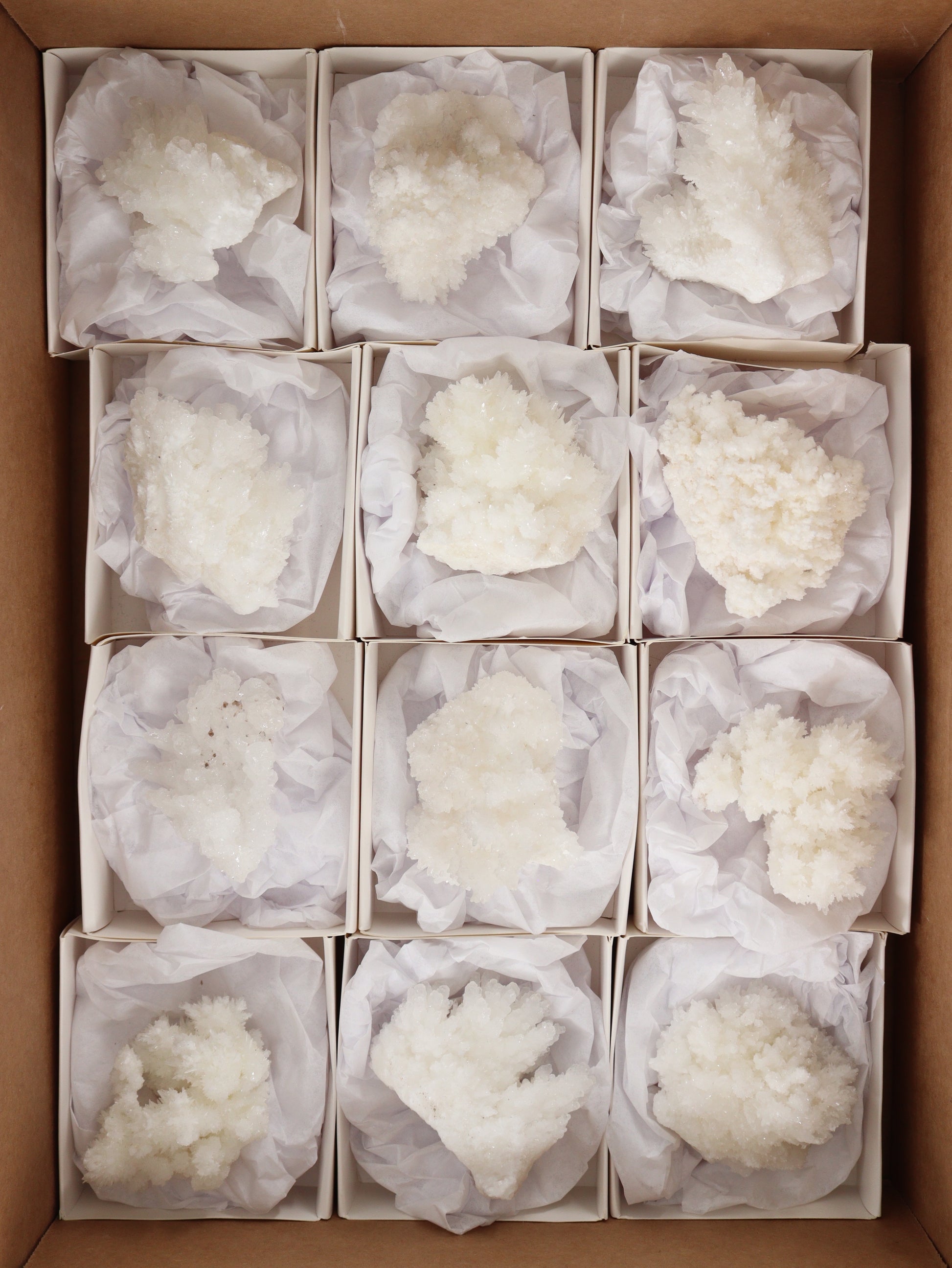 Aragonite Clusters Flat - Expert Wholesale and Supplier of Wholesale Crystals & Bulk Gemstones, []