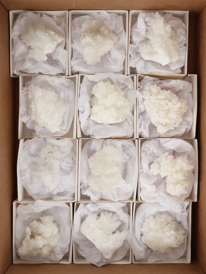 Aragonite Clusters Flat - Expert Wholesale and Supplier of Wholesale Crystals & Bulk Gemstones, []