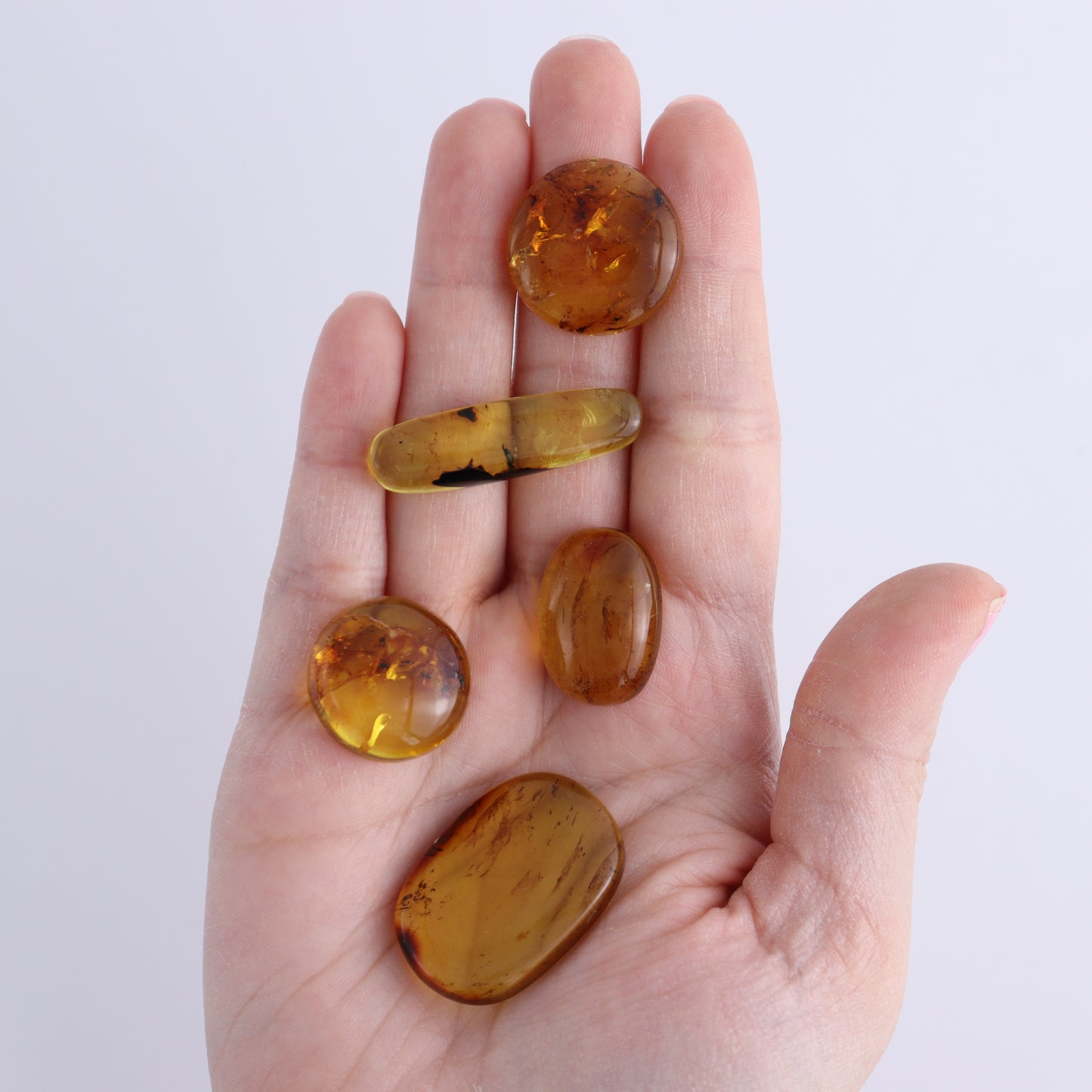 Chiapas Mexico Amber Cabs Set of 5 - Expert Wholesale and Supplier of Wholesale Crystals & Bulk Gemstones, ["Amber","Cabs","Chiapas Amber","Mexico"]
