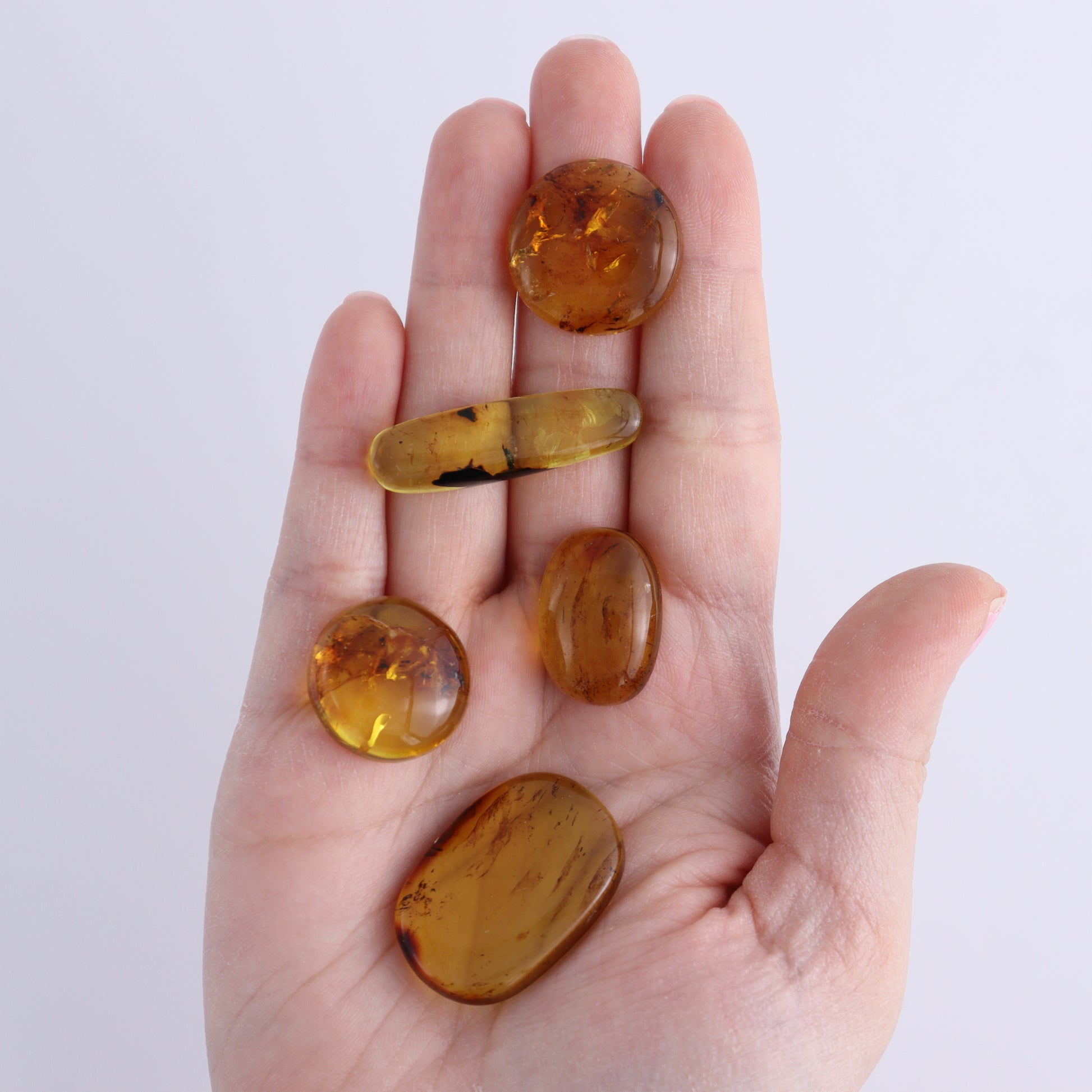 Chiapas Mexico Amber Cabs Set of 5 - Expert Wholesale and Supplier of Wholesale Crystals & Bulk Gemstones, ["Amber","Cabs","Chiapas Amber","Mexico"]