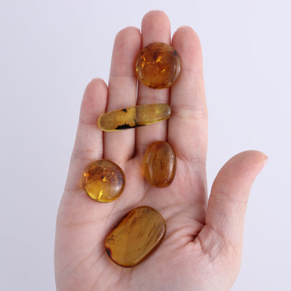Chiapas Mexico Amber Cabs Set of 5 - Expert Wholesale and Supplier of Wholesale Crystals & Bulk Gemstones, ["Amber","Cabs","Chiapas Amber","Mexico"]